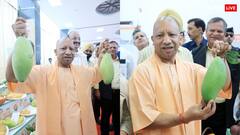 आम महोत्सव में पहुंचे सीएम योगी आदित्यनाथ, सामने आईं ये 9 खास तस्वीरें, आपने देखी क्या?