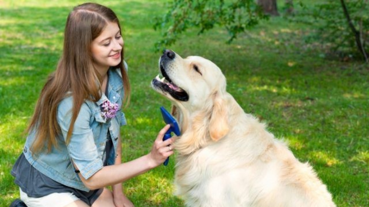 (Image Source: Pinterest/topdogtips)