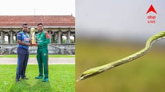 'নাগিন ডান্স' নয়, শ্রীলঙ্কা-বাংলাদেশের ম্যাচে এবার মাঠেই ঢুকে পড়ল সাপ, ভাইরাল ভিডিও