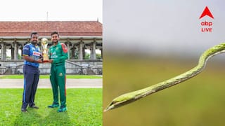 SL vs BAN: 'নাগিন ডান্স' নয়, শ্রীলঙ্কা-বাংলাদেশের ম্যাচে এবার মাঠেই ঢুকে পড়ল সাপ, ভাইরাল ভিডিও