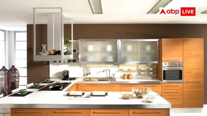 Insect Can Live Without Head: क्या आपने कभी किसी के बिना सिर के जीने की कल्पना की है, नहीं न. दुनिया में कोई भी बिना सिर के जिंदा नहीं रह सकता है, सिवाए एक प्राणी के. चलिए जानें.