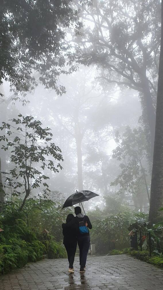 महाराष्ट्र में मानसून में कपल्स के लिए रोमांटिक गेटअवे के बेहतरीन स्थल