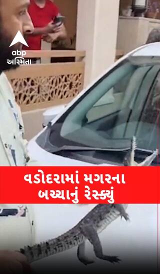 Vadodara: Baby Crocodile Resuce : રહેણાંક વિસ્તારમાં મગરના બચ્ચાનું રેસ્ક્યું | Abp Asmita