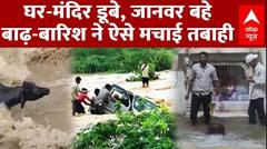 घर-मंदिर डूबे, जानवर बहे, बाढ़-बारिश ने ऐसे मचाई तबाही