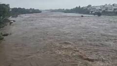 Gujarat Rain: 24 કલાકમાં રાજ્યના 199 તાલુકામાં વરસાદ, જામકંડોરણામાં 5 ઈંચથી વધુ વરસાદ