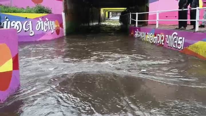 ગોપી નાળામાં કેડસમા પાણી ભરાઈ જતા વાહનવ્યવહાર સંપૂર્ણપણે ઠપ થઈ ગયો હતો, જેના કારણે અનેક વાહનો પણ પાણીમાં ડૂબી ગયા હતા.