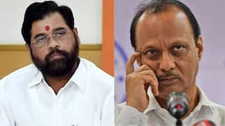 एकनाथ शिंदे म्हणाले 'जय गुजरात'; अजित पवारांची पहिली प्रतिक्रिया, एका वाक्यात विषय मिटवला