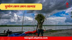 মাঝ আষাঢ়ে মহাদুর্যোগ, অঝোরে বৃষ্টি কলকাতায়, বইবে তুমুল হাওয়া, ৬ জেলা তৈরি তো?