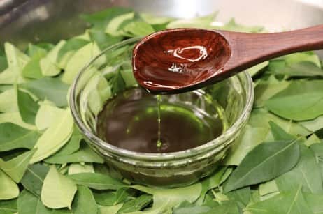 नारियल तेल और करी पत्ता: करी पत्ता विटामिन B से भरपूर होता है, जो बालों की जड़ों को मजबूती देता है. नारियल तेल में  करी पत्ते उबालें और ठंडा होने के बाद स्कैल्प पर लगाएं.