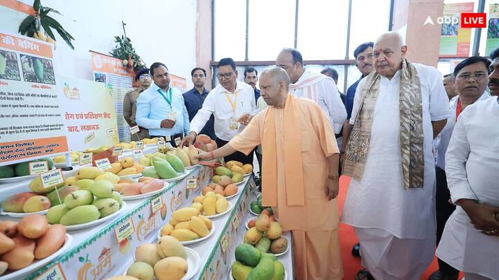 आम महोत्सव में शामिल होने के बाद सीएम ने कहा कि उत्तर प्रदेश आम महोत्सव-2025' के शुभारंभ हेतु आज लखनऊ में आयोजित कार्यक्रम में प्रगतिशील बागवानों एवं निर्यातकों को सम्मानित किया.