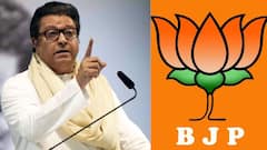 राज ठाकरेंसारख्या गुंडांची जागा तुरुंगात, त्यांच्यावर देशद्रोहाचा गुन्हा दाखल व्हायला हवा, भाजप नेत्याचा हल्लाबोल