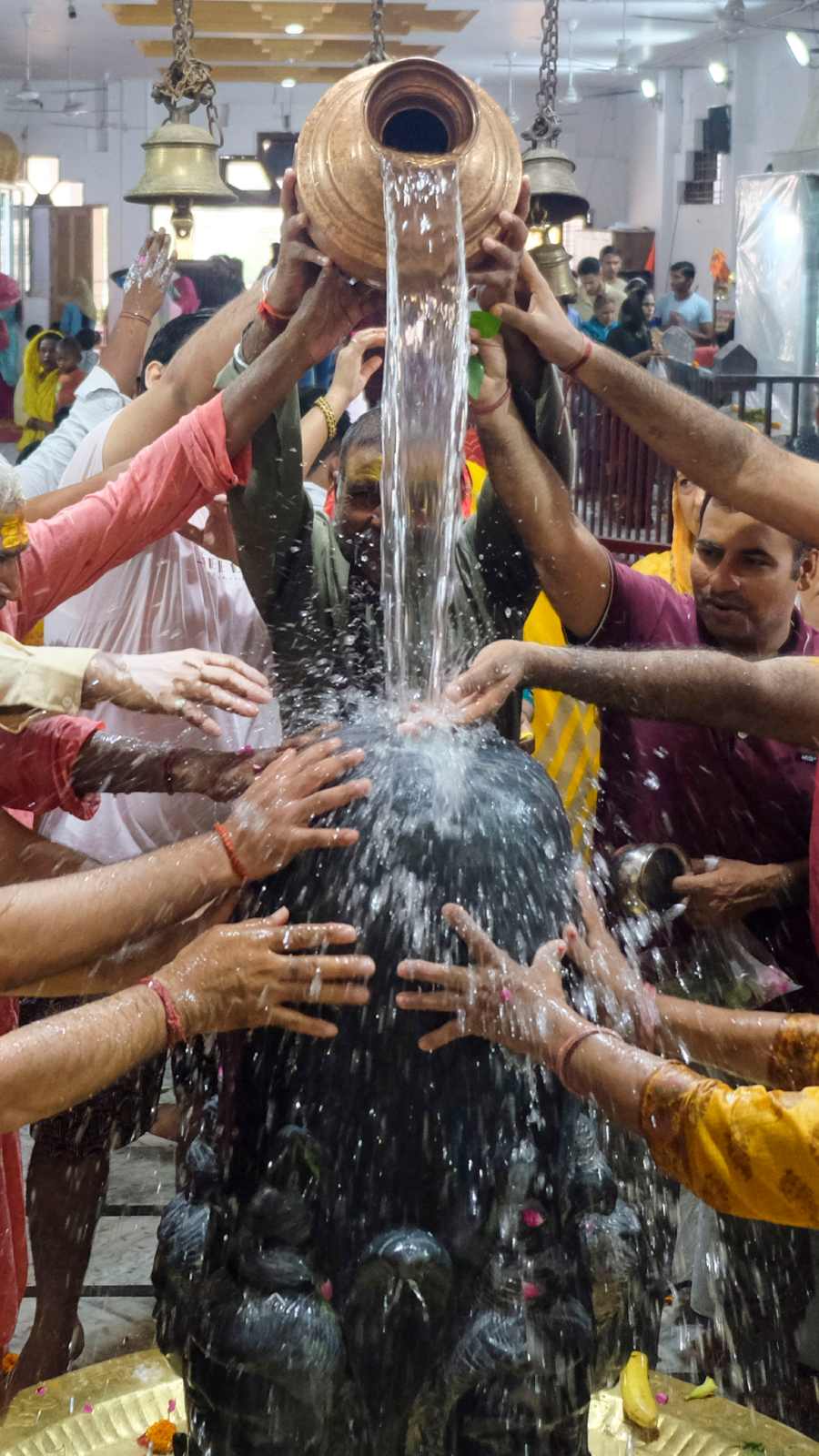 सावन का महीना शिव भगवान की पूजा के लिए विशेष माना जाता है.