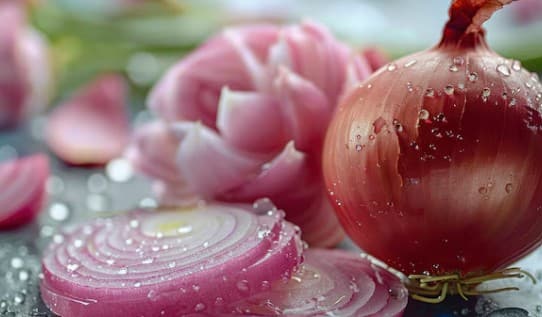 प्याज का रस: प्याज में सल्फर की मात्रा अधिक होती है, जो बालों की जड़ों में ब्लड सर्कुलेशन को बढ़ाता है और नए बाल उगाने में मदद करता है.