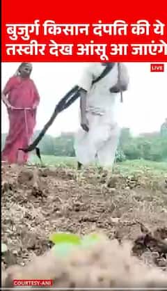 Viral Video: बुजुर्ग किसान दंपति की ये तस्वीर देख आंसू आ जाएंगे | ABP NEWS SHORTS