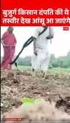 Viral Video: बुजुर्ग किसान दंपति की ये तस्वीर देख आंसू आ जाएंगे | ABP NEWS SHORTS