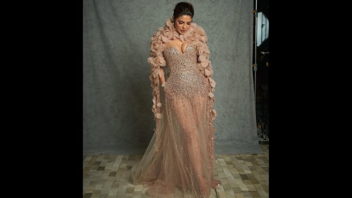 8. Priyanka Chopra: Priyanka Chopra brought pure fantasy to life in this breathtaking blush nude gown. The outfit featured a heavily embellished corset-style bodice with a plunging neckline and sheer crystal-studded tulle. The gown perfectly blended glamour with ethereal elegance. The dramatic 3D floral cape draped around her shoulders added a soft and romantic flair to the modern silhouette. The muted nude palette paired with glittering embellishments highlighted the actress, making the look a masterclass in statement style. (Image Source: Instagram/@priyankachopra)