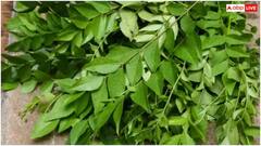 Health Tips: રોજ એક મીઠા લીમડાનું પાન ખાવાના ફાયદા જાણશો તો આજે જ ખાવા લાગશો