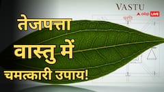 Vastu Tips For Bay Leaves: घर से नकारात्मकता दूर करने और धन आकर्षित करने के लिए तेज पत्ता के अचूक वास्तु उपाय!