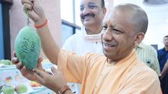 चेहरे पर खुशी और हाथ में 'योगी आम', मुख्यमंत्री ने आम महोत्सव 2025 का किया शुभारंभ