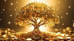 Vastu Tips for Happy Home : ధనవంతుల ఇళ్లలో ఈ మొక్కలు ఉంటాయి,  వాస్తు దోషాన్ని తొలగించి కనకవర్షం కురిపిస్తాయ్ ఇవి!