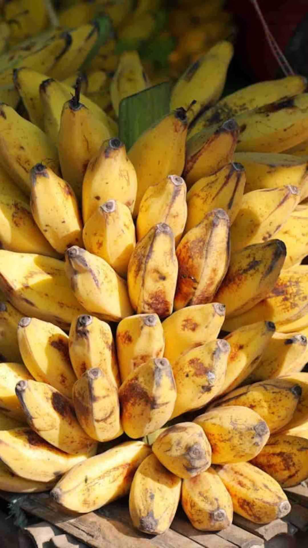 इसके अलावा केले के छिलकों में फास्फोरस और कैल्शियम भी होता है जो पौधों में सड़न जैसी समस्याओं को रोकता है