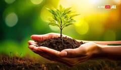 Vastu Tips: અમીર લોકોના ઘરોમાં હોય છે આ છોડ, દૂર થશે વાસ્તુ દોષ, થશે પૈસાનો વરસાદ