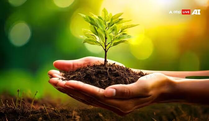 Vastu Tips: વૃક્ષો અને છોડની હરિયાળી માનસિક શાંતિ આપે છે અને શરીર ઉર્જાવાન લાગે છે. વાસ્તુ શાસ્ત્ર અનુસાર, કેટલાક છોડ એવા છે જે ફક્ત શરીર અને મનને જ નહીં પરંતુ સંપત્તિને પણ આકર્ષિત કરે છે. છોડ આપણા જીવન પર ઊંડી અસર કરે છે. વાસ્તુ શાસ્ત્રમાં એવા છોડનો ઉલ્લેખ છે જે દુર્ભાગ્ય અને વાસ્તુ દોષોને દૂર કરવામાં અસરકારક માનવામાં આવે છે. ઉપરાંત આ છોડ ઘરમાં લગાવતાની સાથે જ ધનને ચુંબકની જેમ પોતાની તરફ ખેંચે છે.