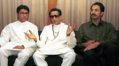 विजयी मेळाव्याच्या मराठी व्यासपीठावर फक्त ठाकरे बंधू असणार, भव्य ग्रँड एन्ट्री सुद्धा होणार; ठरलेल्या भाषणांमध्ये कोणती दोन नावे वाढली?