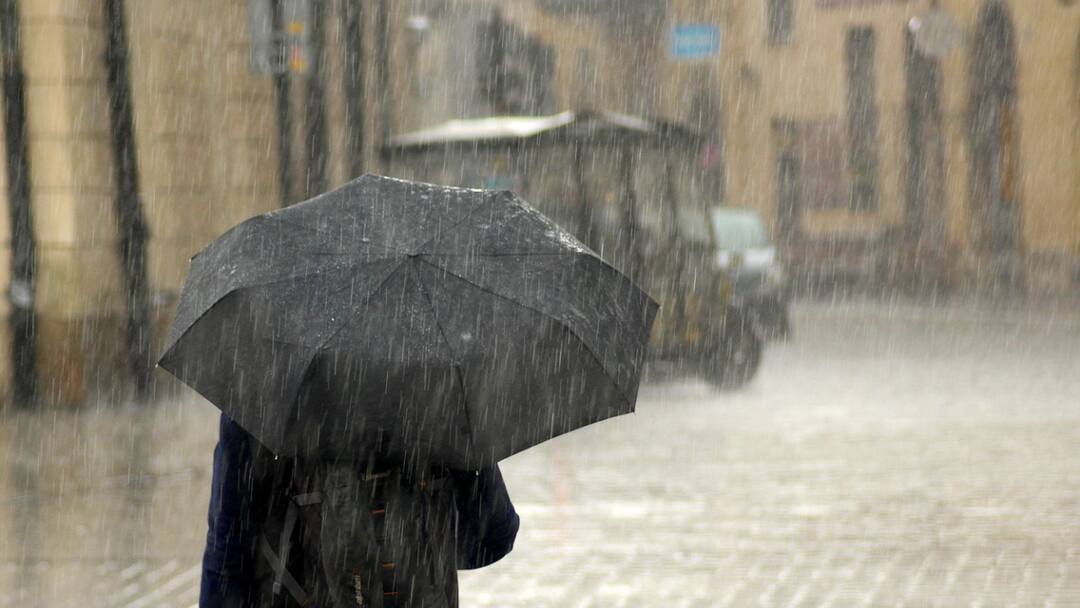 Kerala Tamil Nadu Weather Update Heavy Rains IMD Yellow Alert For Multiple Districts From July 5–9 Kerala Braces For Heavy Rains; IMD Issues Yellow Alert For Multiple Districts From July 5–9