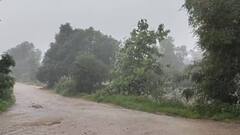 Gujarat Rain: આવતીકાલે અમરેલી, ભાવનગર સહિંત રાજ્યના 12 જિલ્લામાં અતિભારે વરસાદ તૂટી પડશે, જાણો વરસાદ અપડેટ