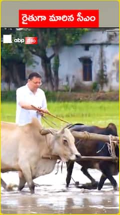 రైతుగా మారిన ఉత్తరాఖండ్ సీఎం పుష్కర్ సింగ్ ధామి