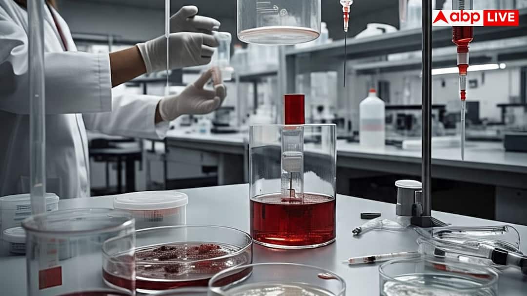 युद्ध में दुश्मन देश पर खतरनाक वायरस छोड़ देगा चीन? दुनिया में इस हथियार का खौफ Will China Use Deadly Viruses in War The Global Fear of Biological Weapons युद्ध में दुश्मन देश पर खतरनाक वायरस छोड़ देगा चीन? दुनिया में इस हथियार का खौफ