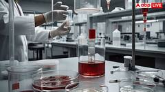 युद्ध में दुश्मन देश पर खतरनाक वायरस छोड़ देगा चीन? दुनिया में इस हथियार का खौफ