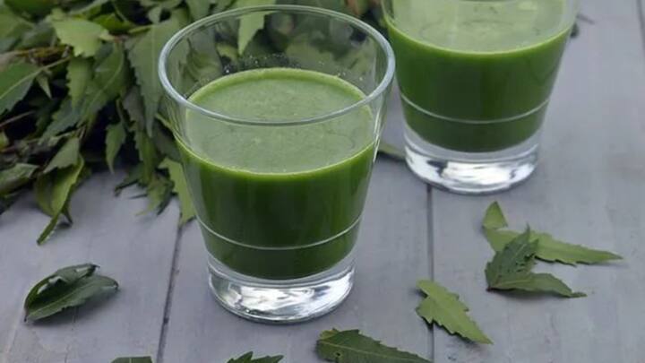 6. Neem Leaf Concoction: Neem has antibacterial, antiviral, and cooling properties. Boil fresh neem leaves in water and drink it warm. It helps in purifying the blood and clearing heat from the body. This drink also fights infections naturally, making it ideal for early-stage fevers. (Image Source: Pinterest/tarladalal)