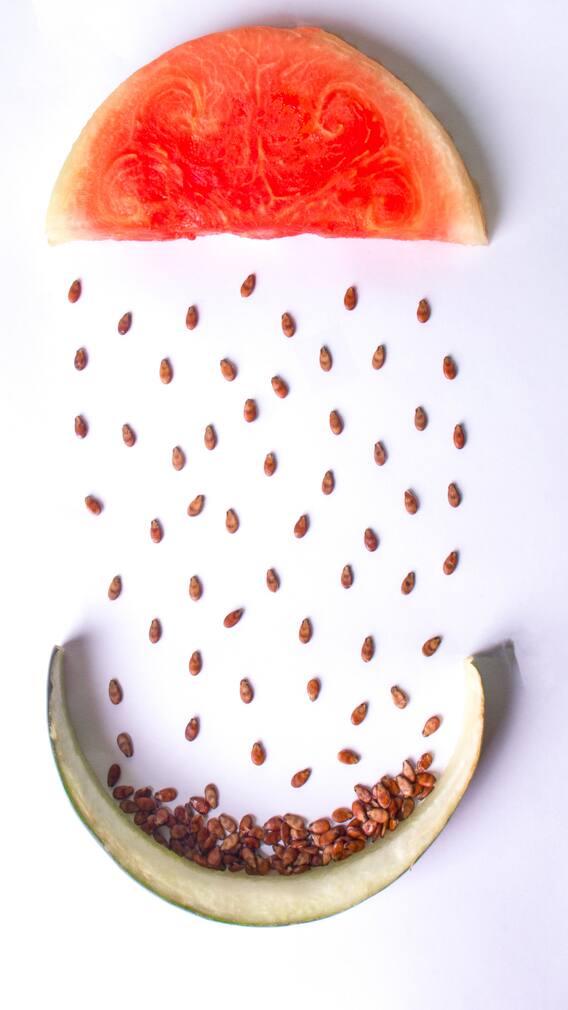 யப்பா.. தர்பூசணி விதைகள்ல இவ்வளவு ஆரோக்கிய நன்மைகள் இருக்கா.?