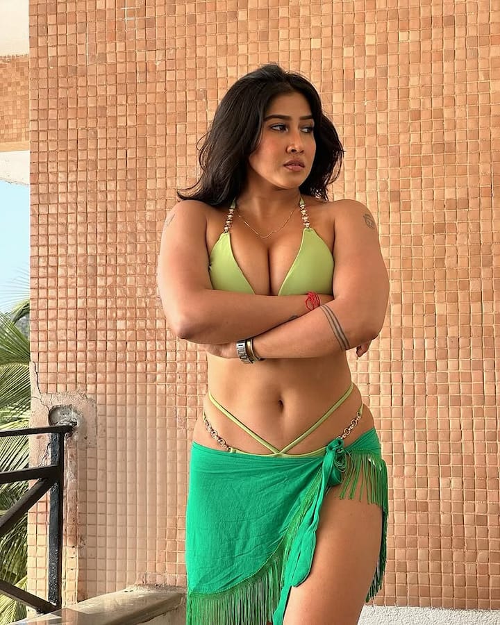 इन तस्वीरों में सोफिया अंसारी अपनी कातिलाना अदाओं से फैंस को मदहोश कर रही हैं।