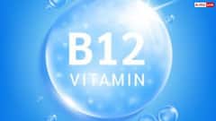 Vitamin B12 ਦੀ ਕਮੀ ਦਿਨਾਂ 'ਚ ਹੋਵੇਗੀ ਦੂਰ ਬੱਸ ਦਹੀਂ 'ਚ ਮਿਲਾਕੇ ਖਾਓ ਇਹ ਚੀਜ਼, ਨਹੀਂ ਲੈਣੀ ਪਵੇਗੀ ਕੋਈ ਦਵਾਈ