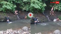 जंगल में नहाने गए लड़कों के साथ हुआ कांड, झाड़ियों में बैठे दरिंदे ने अचानक किया हमला; देखें वीडियो