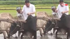 Watch: धान की रोपाई और खेतों की जुताई, ये किसान नहीं, मुख्यमंत्री पुष्कर धामी हैं... देखिए वायरल वीडियो