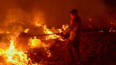 CAQM की पंजाब-हरियाणा के साथ उच्चस्तरीय बैठक, पराली जलाने पर रोक और पुरानी गाड़ियों पर हुई चर्चा