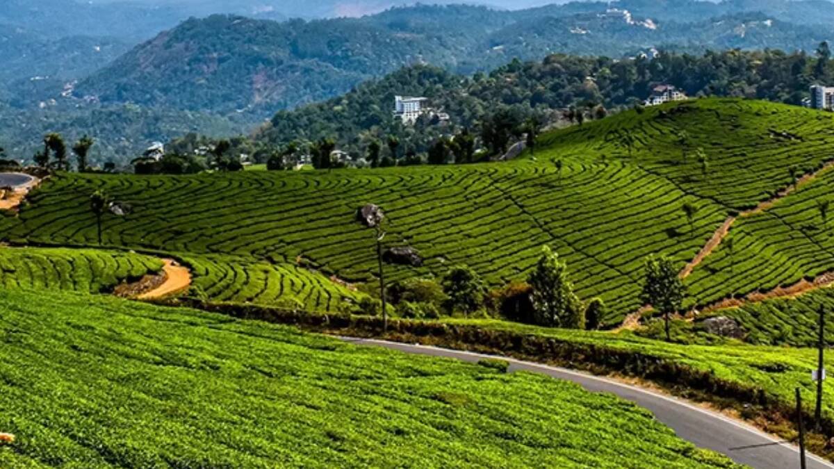 மூணாறு: சர்வதேச பொறுப்பு சுற்றுலா தலமாக மாறும் அதிசயம்! டிசம்பரில் அறிவிப்பு, சுற்றுலாவில் புதிய திருப்பம்!