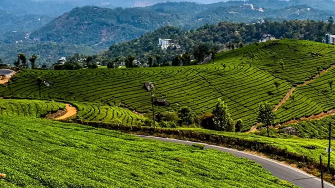 Miracle to become an internationally responsible tourist destination! Announcement in December, a new twist in tourism! மூணாறு: சர்வதேச பொறுப்பு சுற்றுலா தலமாக மாறும் அதிசயம்! டிசம்பரில் அறிவிப்பு, சுற்றுலாவில் புதிய திருப்பம்!