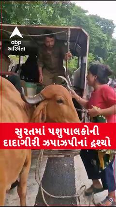Surat: સુરતમાં પશુપાલકોની દાદાગીરી! ઢોર પાર્ટીના કર્મચારીઓ સાથે ઝપાઝપી કરીને પશુ છોડાવી ગયા