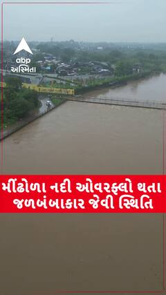 Surat Rains: મીંઢોળા નદી ઓવરફ્લો થતા જળબંબાકાર જેવી સ્થિતિ