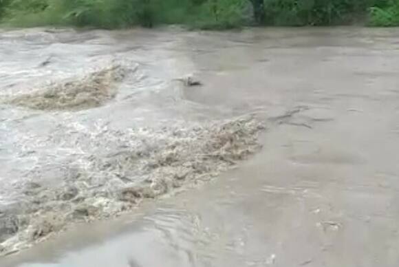 Heavy Rainfall in Babra Amreli District  Amreli Rain: અમરેલી જિલ્લાના બાબરામાં ધોધમાર વરસાદ
