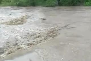 Amreli Rain: અમરેલી જિલ્લાના બાબરામાં ધોધમાર વરસાદ
