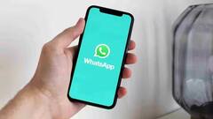 WhatsApp પર બ્લૂ ટિક કઇ રીતે મળે છે ? જાણો કોને મળે છે આ ખાસ સુવિધા