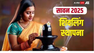 Sawan 2025 Shivling Sthapana: सावन में करनी है शिवलिंग स्थापना? शिव पुराण से जानें सही विधि, पूजा का तरीका