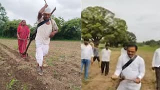 BJP leader Stunt in Farm: पैशांअभावी वृद्ध शेतकरी नांगराला स्वत: जुंपला, पण भाजप नेत्याला स्टंटबाजीचा सोस आवरेना, लातूरमधील घटनेमुळे संताप