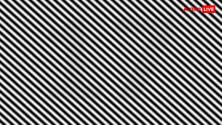 Find out the secret number hidden in the hidden picture goes viral on social media तस्वीर में छिपा है खुफिया नंबर, अच्छे अच्छों ने छोड़ा मैदान, क्या आपको दिखा?